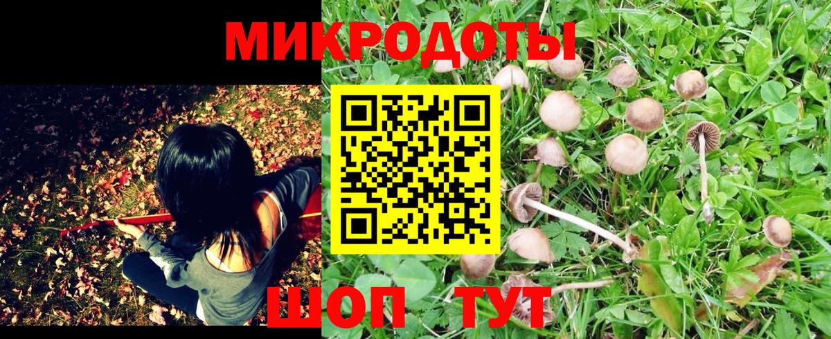 Ярцево  Галлюциногенные грибы ЛСД  Вход с VPN 